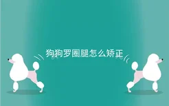 狗狗罗圈腿怎么矫正