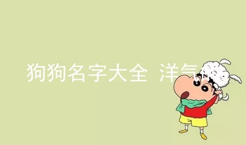 狗狗名字大全 洋气的