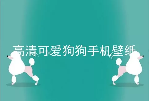 高清可爱狗狗手机壁纸