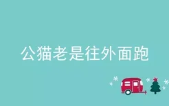 公猫老是往外面跑