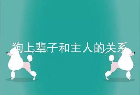 狗上辈子和主人的关系