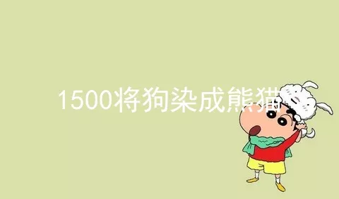 1500将狗染成熊猫