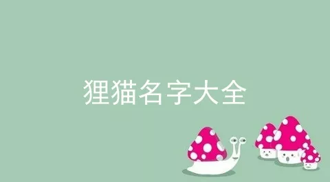 狸猫名字大全