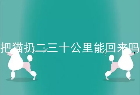 把猫扔二三十公里能回来吗