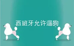 西班牙允许遛狗