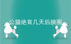 公猫绝育几天后摘圈