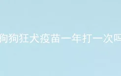 狗狗狂犬疫苗一年打一次吗