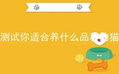 测试你适合养什么品种的猫