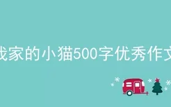 我家的小猫500字优秀作文