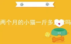 两个月的小猫一斤多正常吗