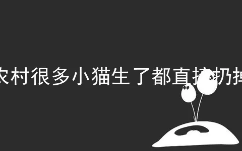 农村很多小猫生了都直接扔掉