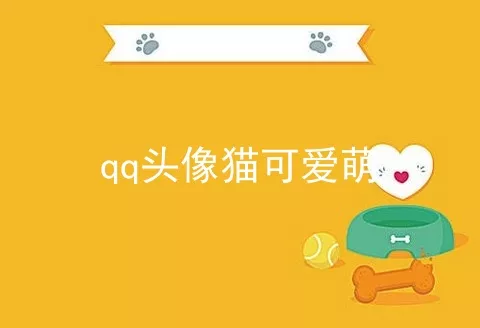 qq头像猫可爱萌