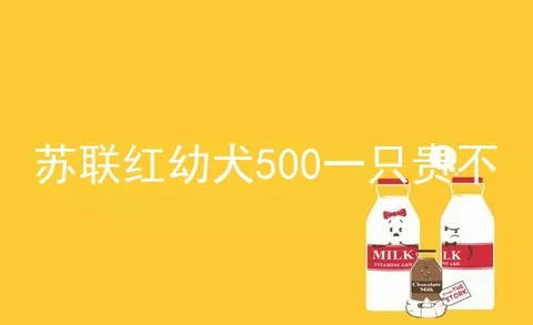 苏联红幼犬500一只贵不