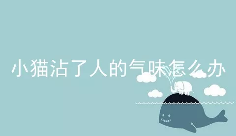 小猫沾了人的气味怎么办