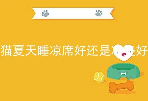 猫夏天睡凉席好还是冰垫好