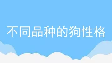 不同品种的狗性格