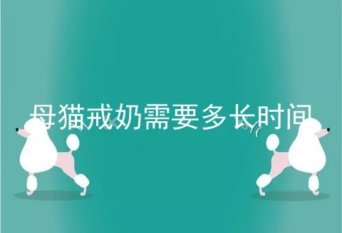 母猫戒奶需要多长时间