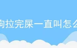 小狗拉完屎一直叫怎么办