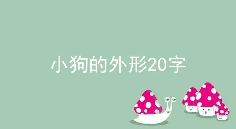 小狗的外形20字