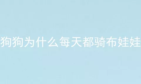 狗狗为什么每天都骑布娃娃