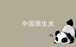 中国原生犬