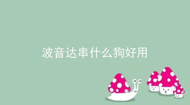 波音达串什么狗好用