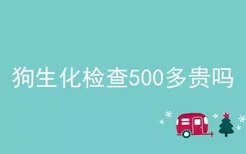 狗生化检查500多贵吗