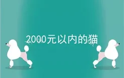 2000元以内的猫