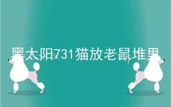 黑太阳731猫放老鼠堆里