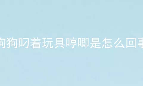 狗狗叼着玩具哼唧是怎么回事