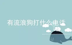 有流浪狗打什么电话