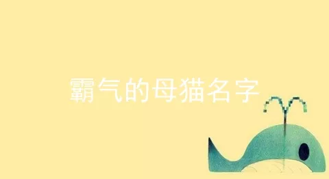 霸气的母猫名字