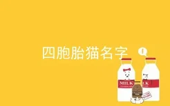 四胞胎猫名字