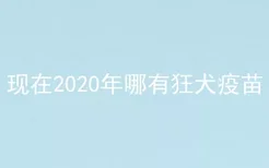 现在2020年哪有狂犬疫苗