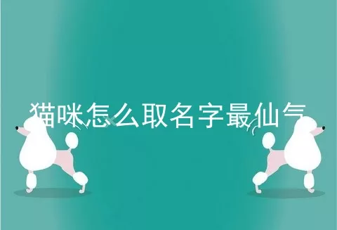 猫咪怎么取名字最仙气