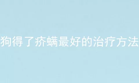 狗得了疥螨最好的治疗方法