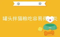 罐头拌猫粮吃容易得口炎