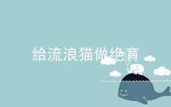 给流浪猫做绝育