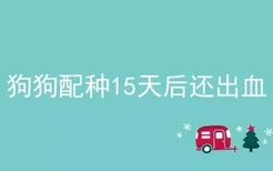 狗狗配种15天后还出血