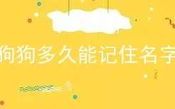 狗狗多久能记住名字