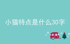 小猫特点是什么30字