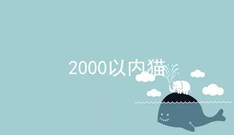 2000以内猫