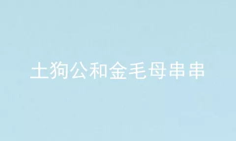 土狗公和金毛母串串