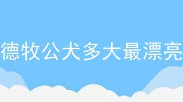 德牧公犬多大最漂亮