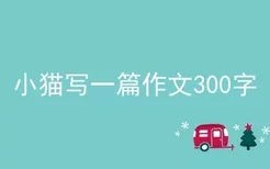 小猫写一篇作文300字