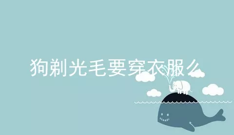 狗剃光毛要穿衣服么