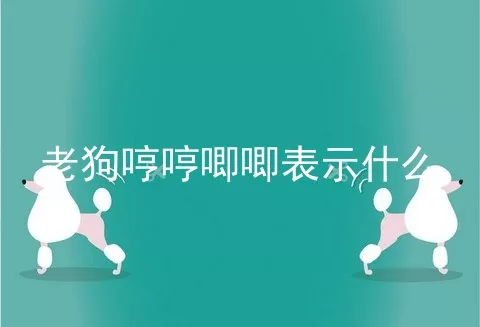 老狗哼哼唧唧表示什么