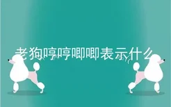 老狗哼哼唧唧表示什么