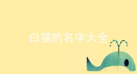 白猫的名字大全