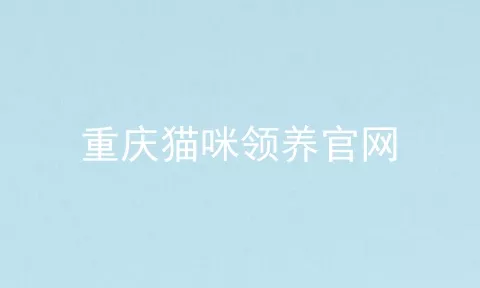 重庆猫咪领养官网